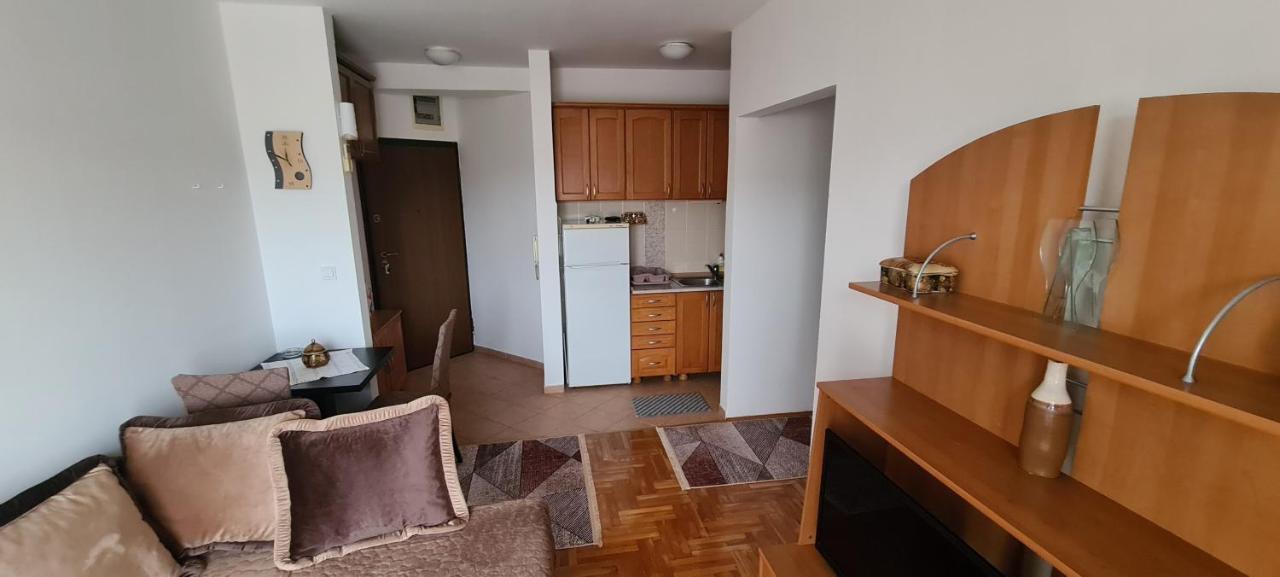 Apartman Velimir Stari Aerodrom Podgorica Buitenkant foto